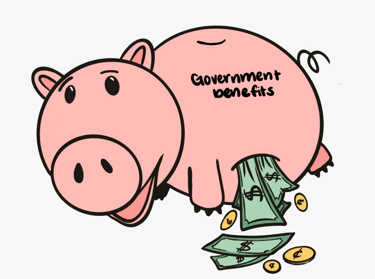 The piggybank leaking money represents the federal funding cuts to government benefits resulting in many people losing SNAP and Medicare. 